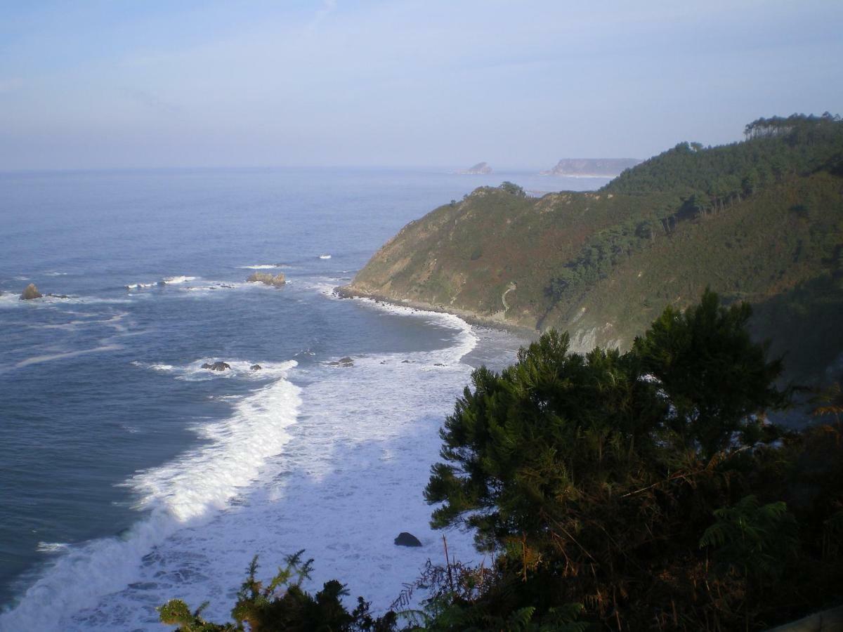 فيلا La Coruxa Los Cabos المظهر الخارجي الصورة